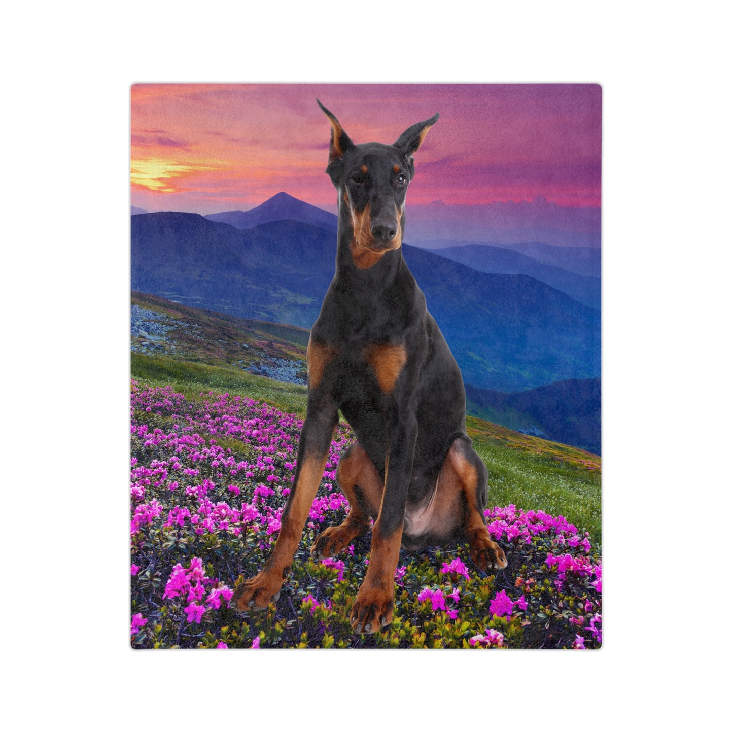 Doberman theme Velveteen Microfiber Blanket (Free Shipping)