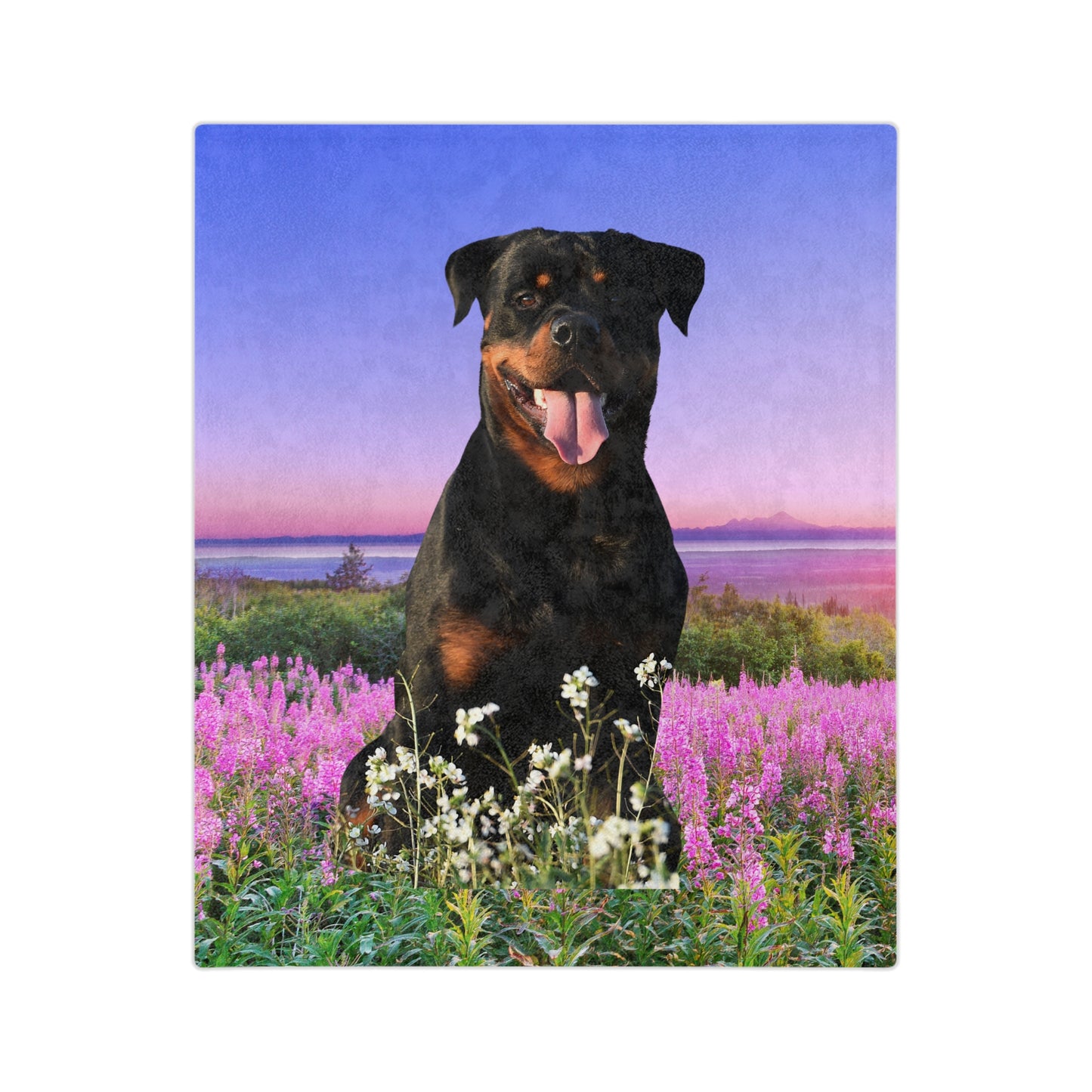 Rottweiler Theme Velveteen Microfiber Blanket (Free Shipping)