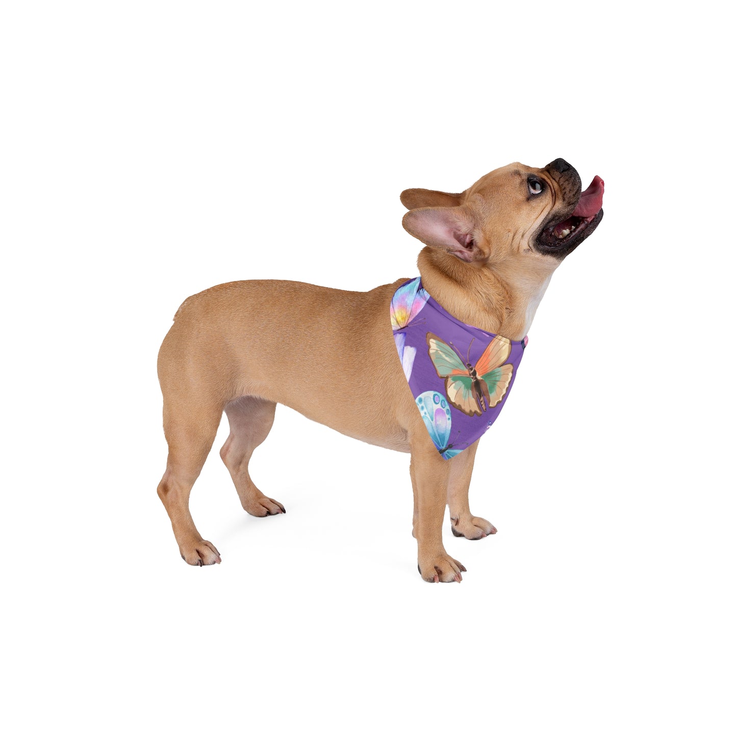 Butterfly Pet Bandana (Free Shipping)