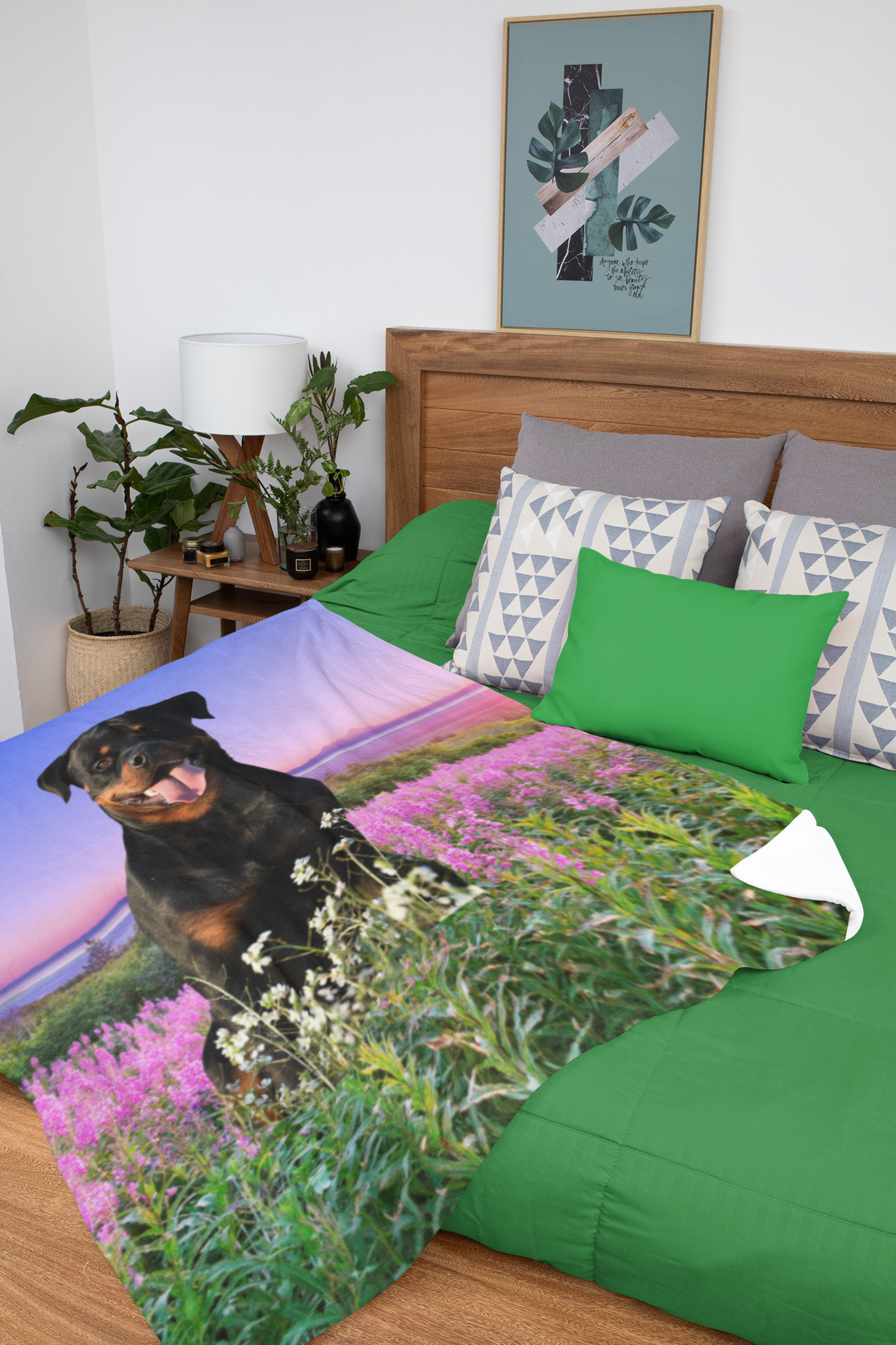 Rottweiler Theme Velveteen Microfiber Blanket (Free Shipping)