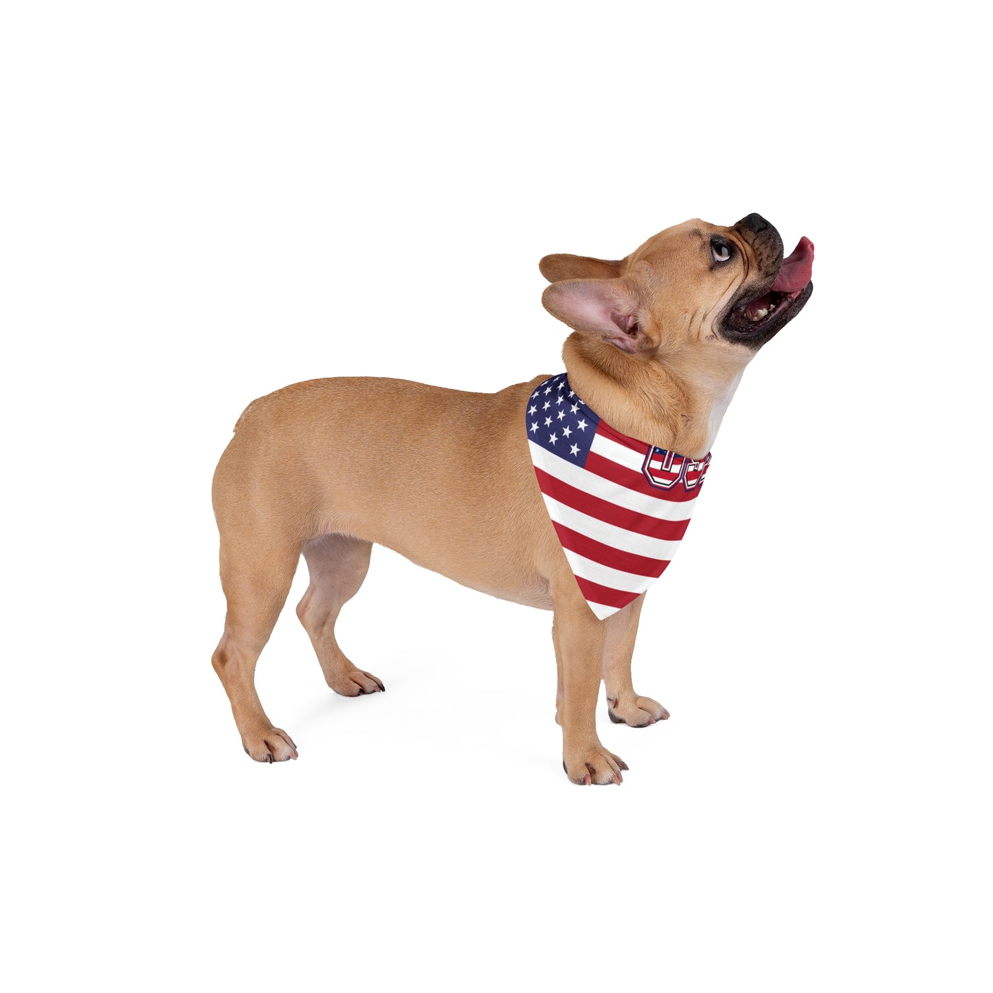 American Flag Pet Bandana