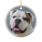 American Bulldog Portrait Ceramic Christmas Ornament