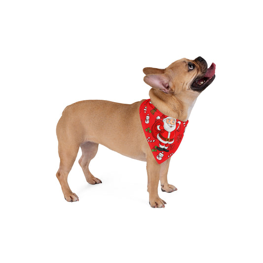 "Holiday Dog Bandana"