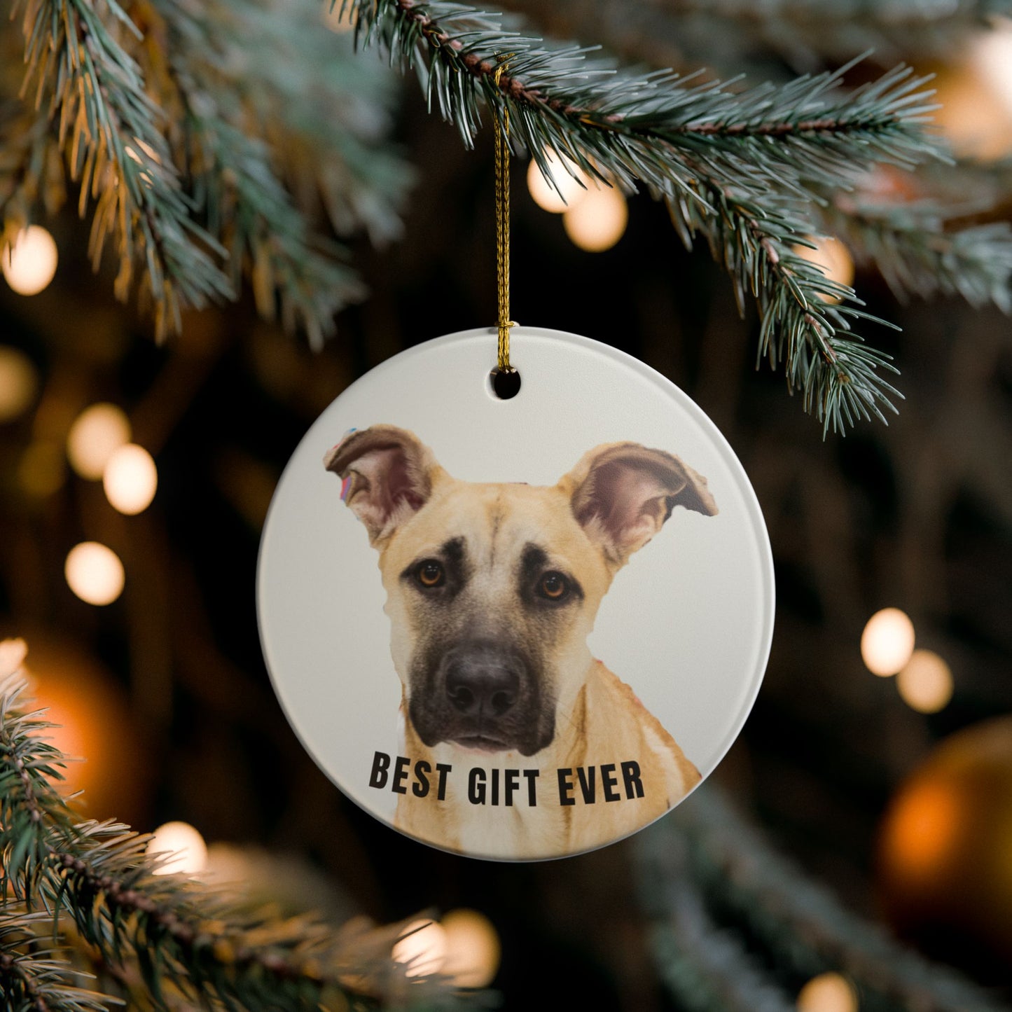 Best Gift Ever Rescue dog Ceramic Christmas Ornament