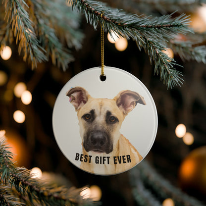 Best Gift Ever Rescue dog Ceramic Christmas Ornament