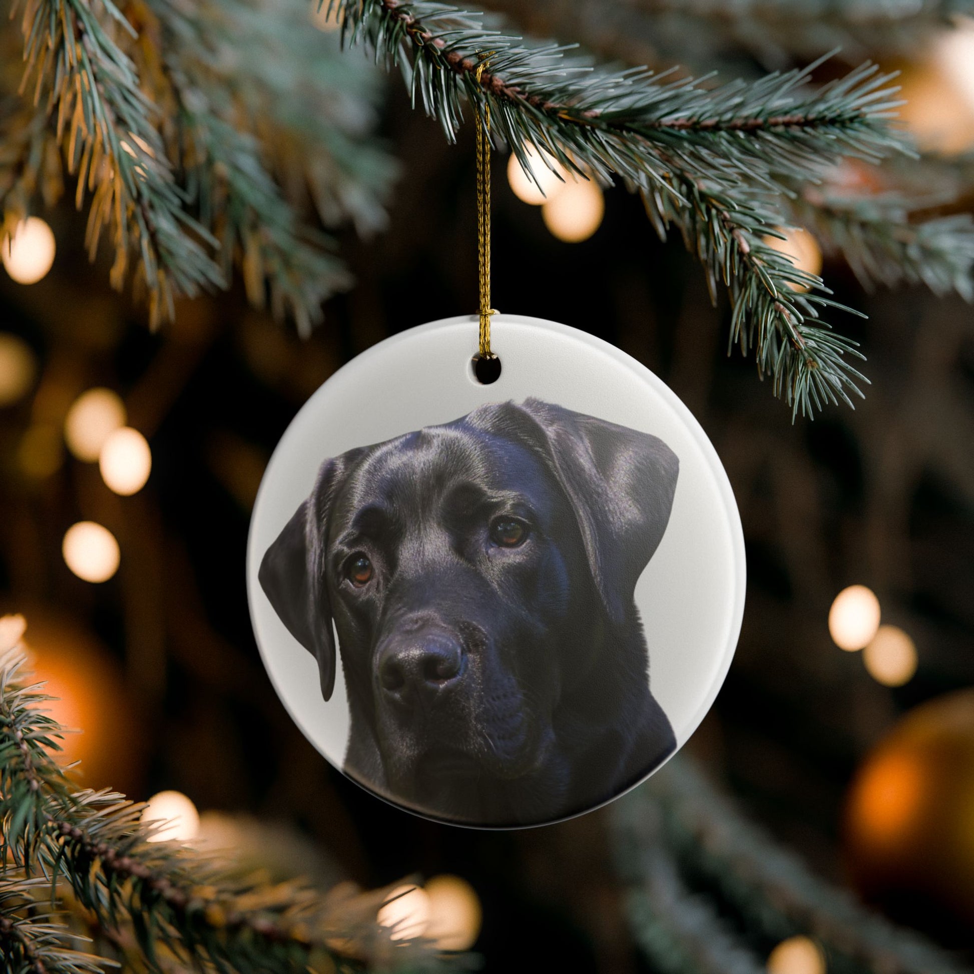 A round white Christmas ornament featuring a printed portrait of a black Labrador retriever, hanging from a gold string on a pine tree branch with warm bokeh lights in the background.