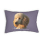 lavender pillow featuring a printed portrait of a cream-colored poodle with the text 'love' and 'SASSY CANINE COLLECTION' 