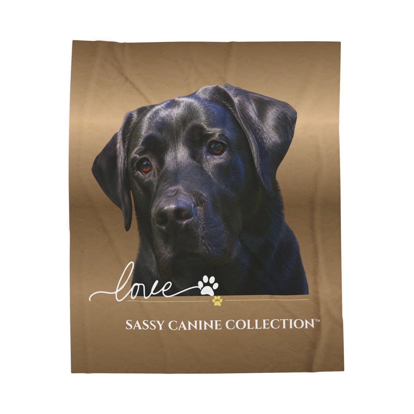Black Labrador Love Velveteen Plush Blanket