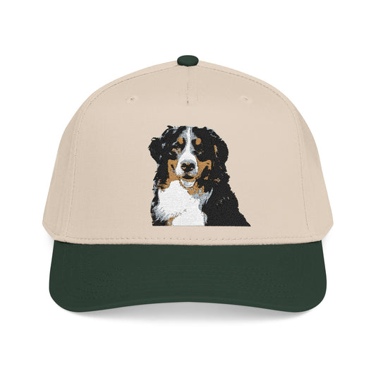 Bernese Mountain Dog Club Hat | Sassy Canine Collection
