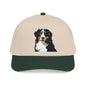Bernese Mountain Dog Club Hat | Sassy Canine Collection