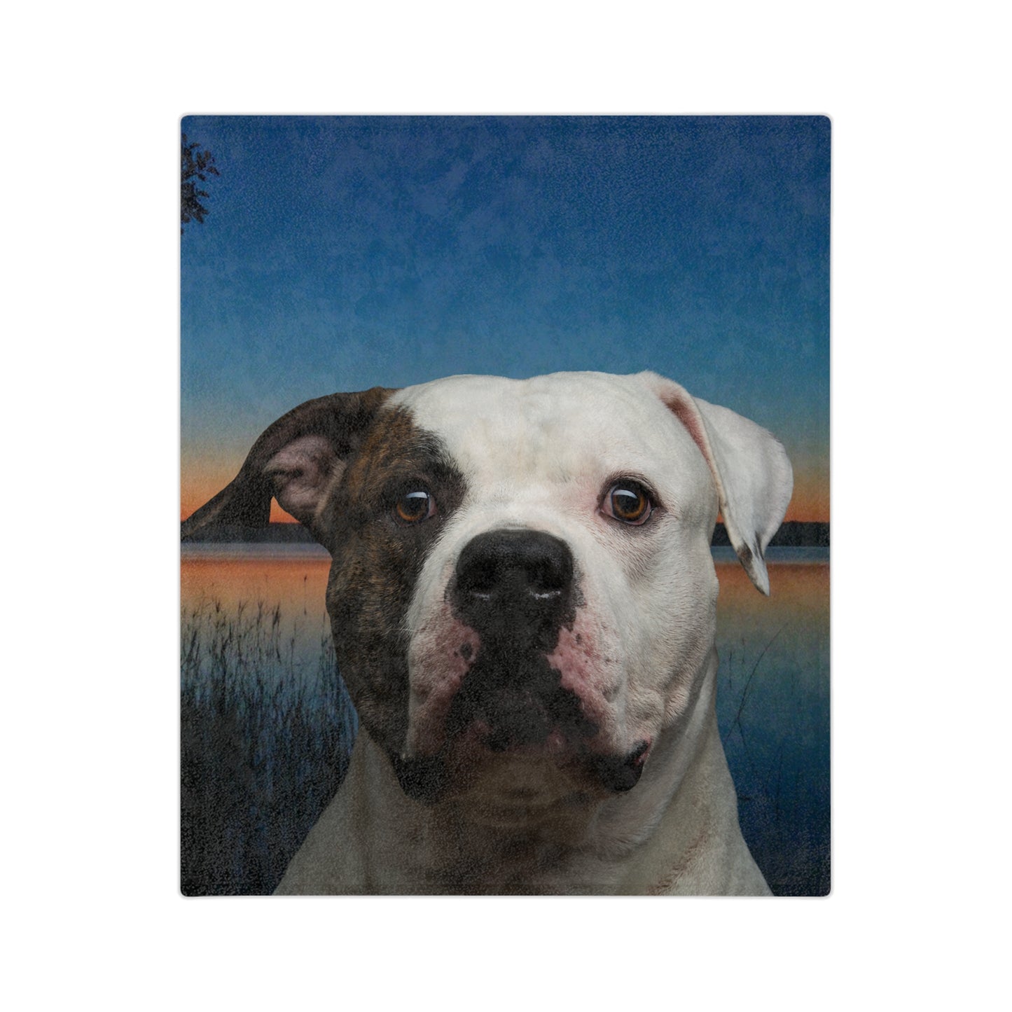 Velveteen Microfiber Blanket