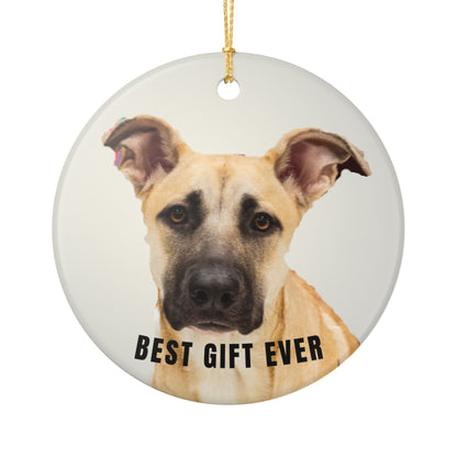 Best Gift Ever Rescue dog Ceramic Christmas Ornament