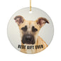 Best Gift Ever Rescue dog Ceramic Christmas Ornament