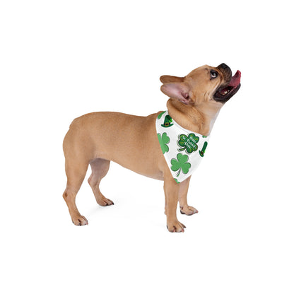 St Patrick's  Day Pet Bandana