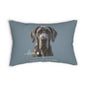 A throw pillow in slate blue with a portrait of a Great Dane dog and the text 'love' and 'Sassy Canine Collection' 