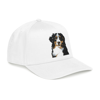 Bernese Mountain Dog Club Hat | Sassy Canine Collection