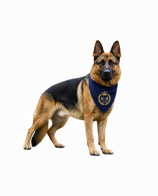 K-9 Club dog bandana
