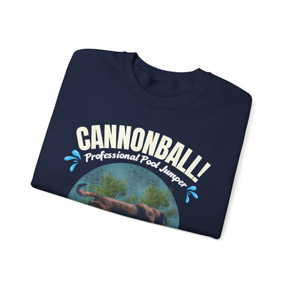 Cannonball! Dog Pool Jumper Crewneck Sweatshirt — Making a Splash (Sassy Canine Collection)