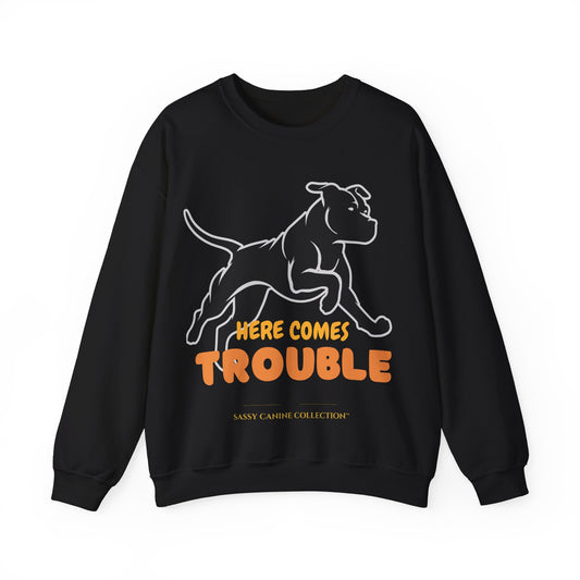 A black crewneck sweatshirt featuring a white line art graphic of a dog and the text 'HERE COMES TROUBLE' in orange and yellow, with 'SASSY CANINE COLLECTION' printed below.