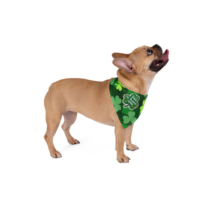 St Patrick's Day Pet Bandana