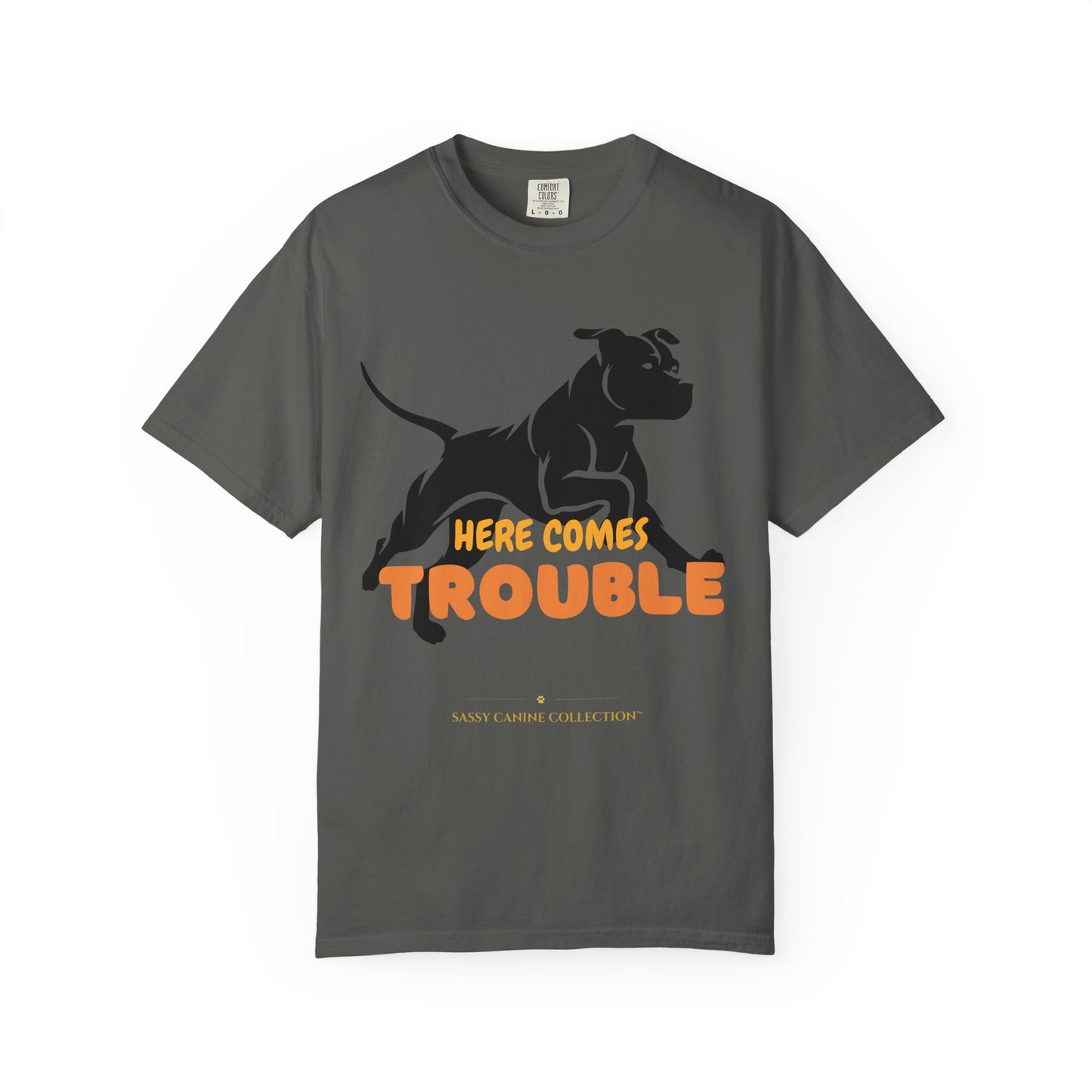 A dark gray crewneck t-shirt featuring a black silhouette of a pitbull-type dog and the text 'HERE COMES TROUBLE' in orange and yellow, with 'SABY CARNIB COLLECTIONS' printed below.