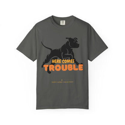 A dark gray crewneck t-shirt featuring a black silhouette of a pitbull-type dog and the text 'HERE COMES TROUBLE' in orange and yellow, with 'SABY CARNIB COLLECTIONS' printed below.