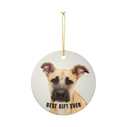 Best Gift Ever Rescue dog Ceramic Christmas Ornament