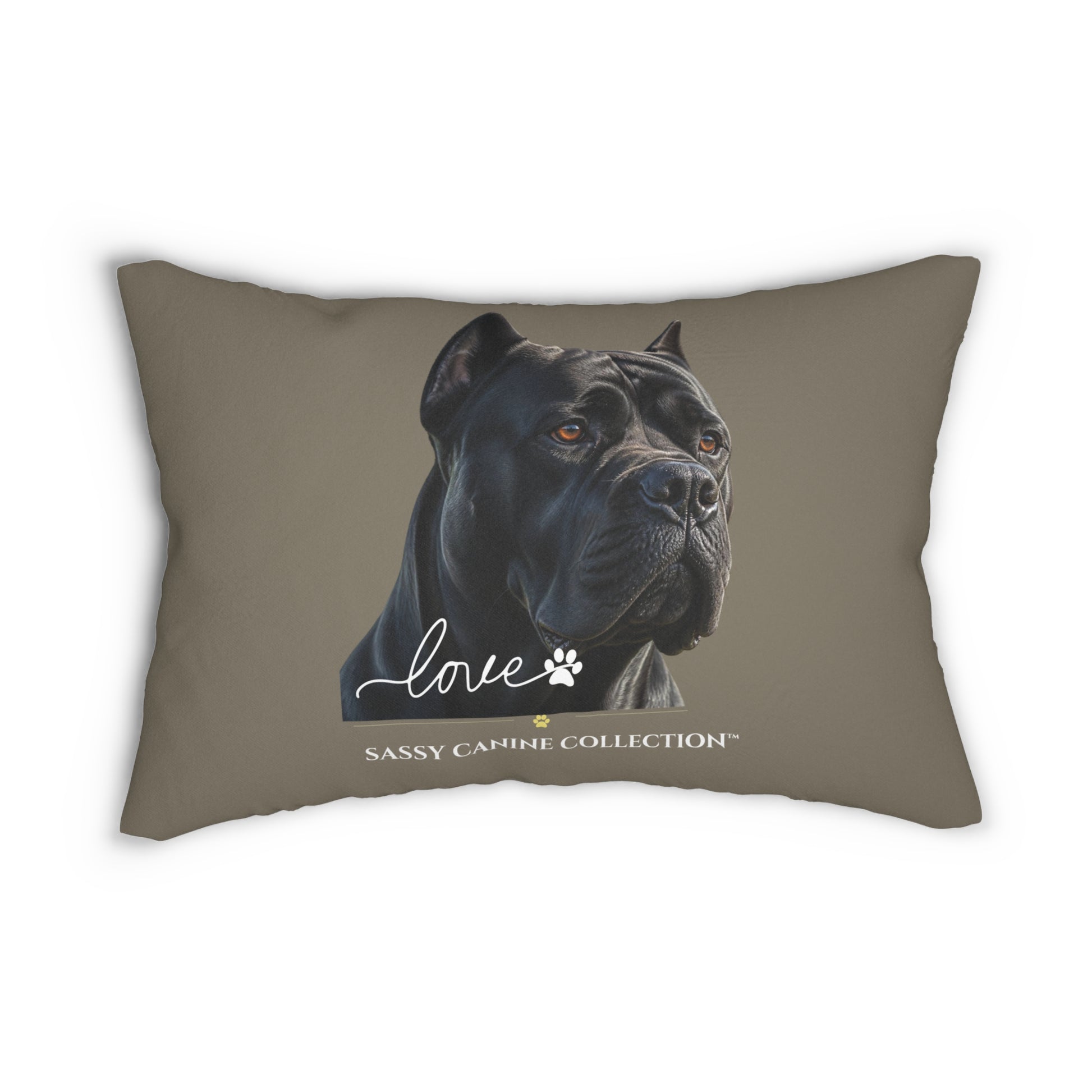 A 14x20 throw pillow in taupe with a black Italian Cane dog, featuring the word 'love' in white script, a paw print, and the text 'SASSY CAMINE COLLECTION' at the bottom.