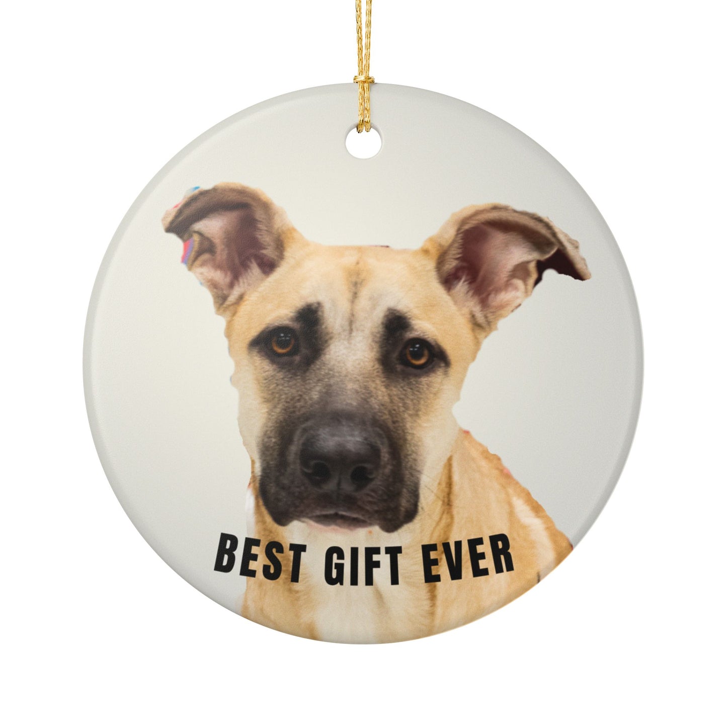 Best Gift Ever Rescue dog Ceramic Christmas Ornament