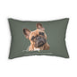 A rectangular pet pillow in sage green featuring a  portrait of a French Bulldog with the text 'love' and 'SASSY CANINE COLLECTION' underneath.