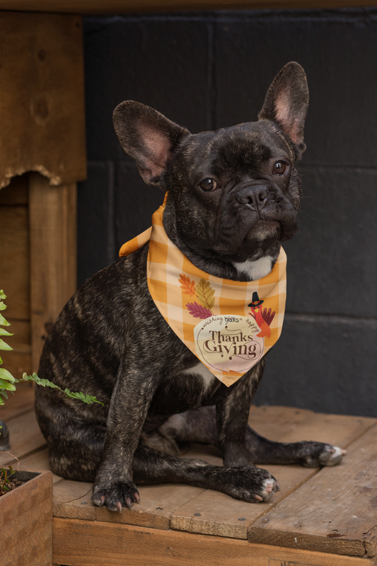 "Thanksgiving Dog Bandana"