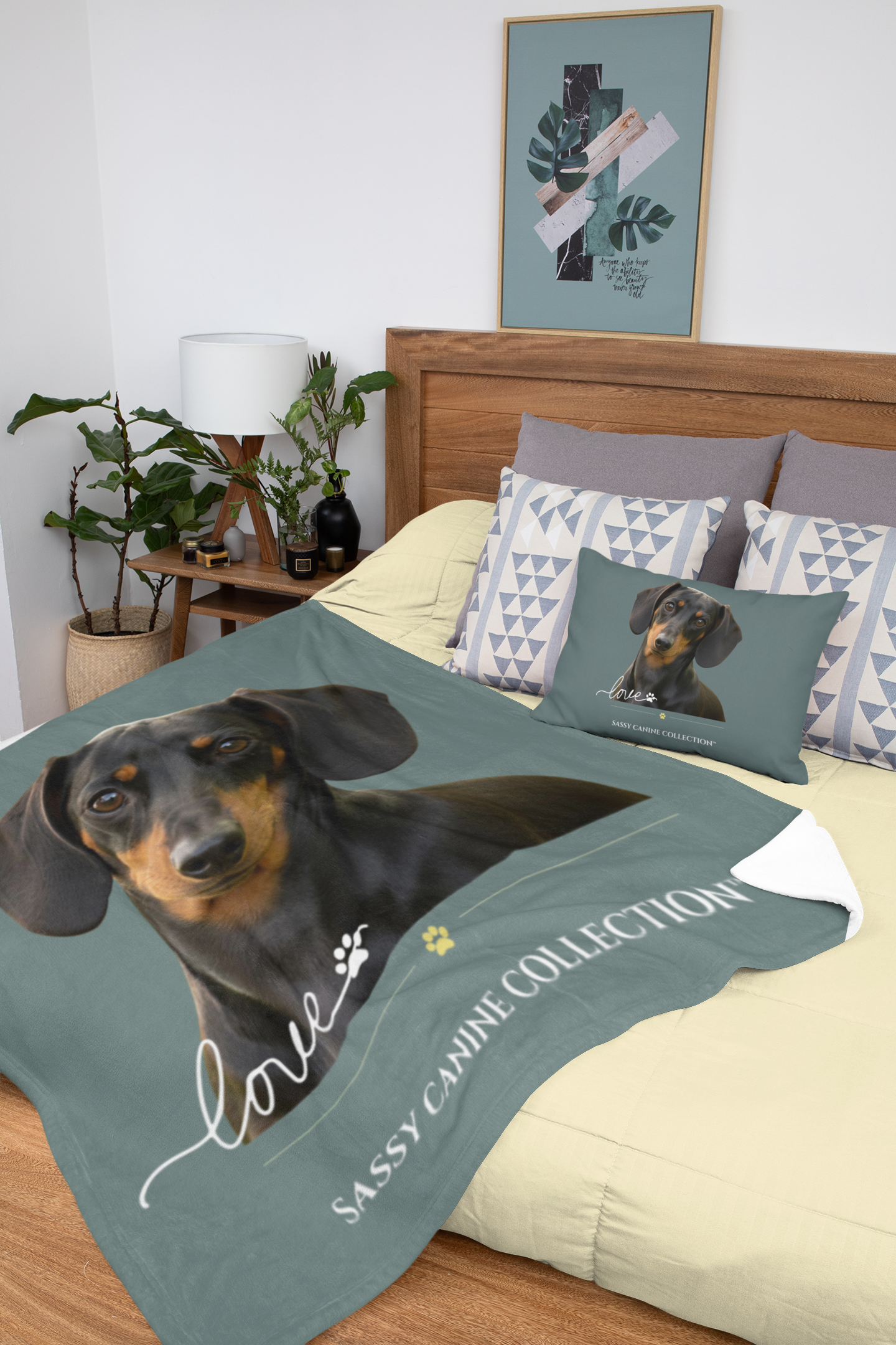 A 50x60 velveteen plush throw blanket  and matching pillow set featuring a large Dachshund. Designed by Sassy Canine Collection.