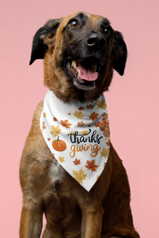 "Thanksgiving Dog Bandana"